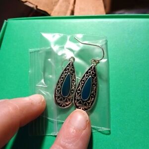 Chic Silver and Blue Teardrop Earrings